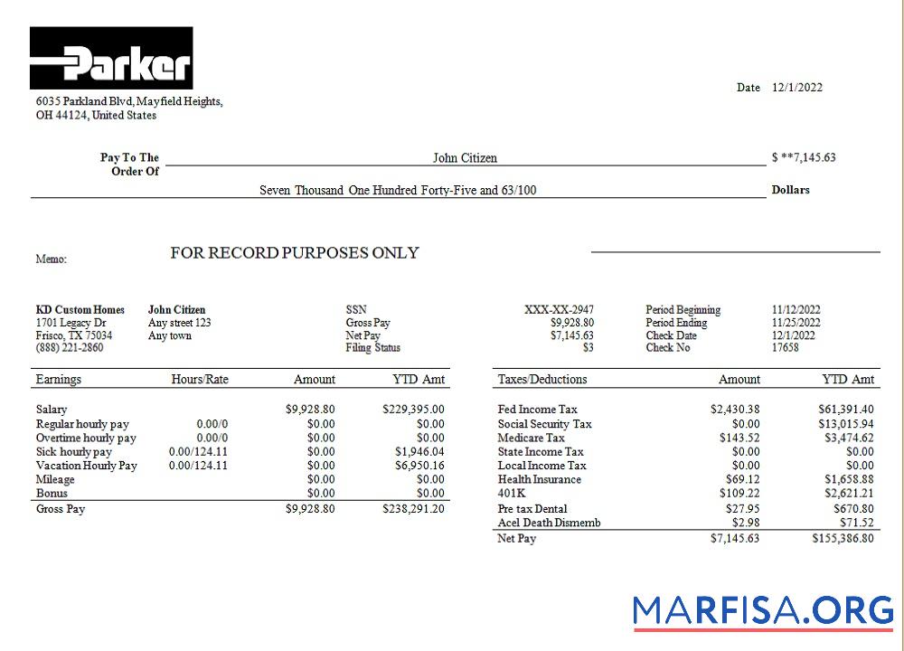 Downloadable USA Parker Hannifin engineering company pay stub template